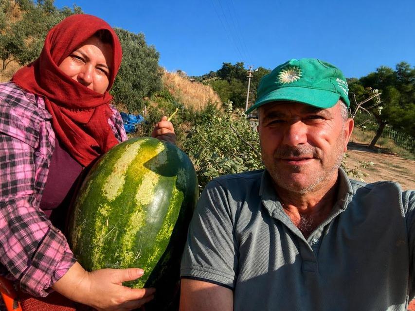 Aydın'da 550 rakımda karpuz ve balkabağı yetiştiriyorlar