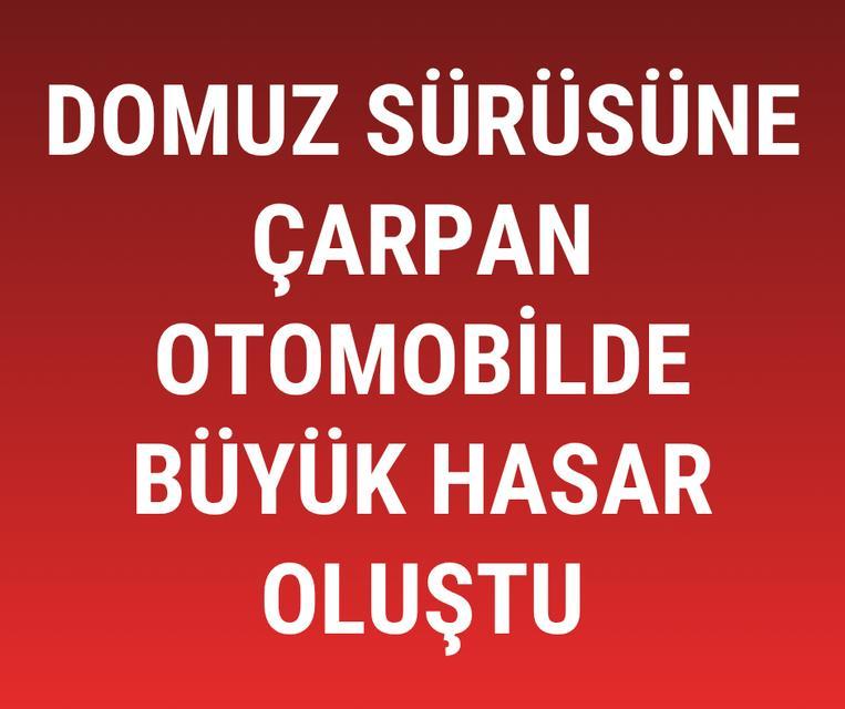 Domuz sürüsüne çarpan otomobilde büyük hasar oluştu