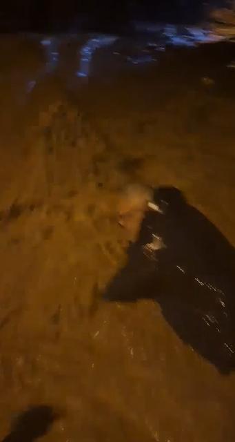 Sel sularına kapılan adamı böyle kurtardı