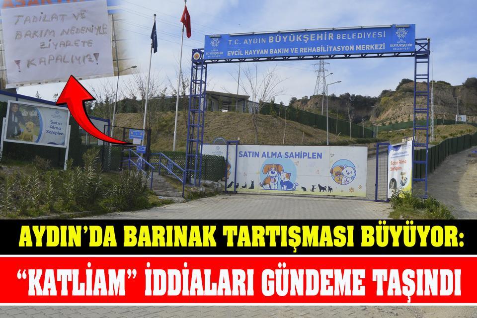Aydın’da barınak tartışması büyüyor: “Katliam” iddiaları gündeme taşındı