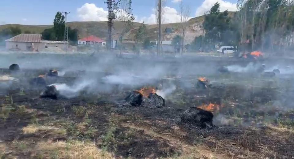 HAKKARİ'DE YAKLAŞIK BİN 500 BAĞ OT KÜL OLDU