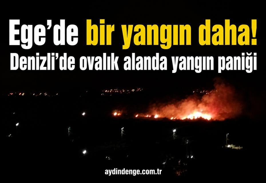 Ege'de bir yangın daha! Denizli’de ovalık alanda yangın paniği