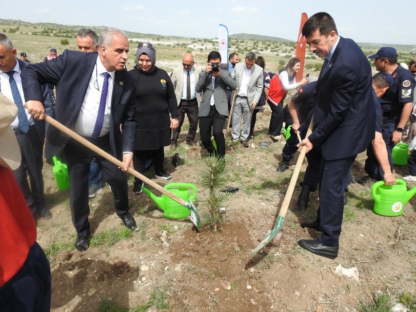 KÜTAHYA'DA AİLE HAFTASINDA AİLE ORMANI TESİS EDİLDİ