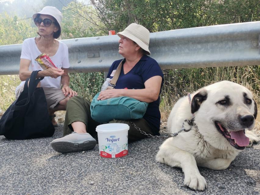 ALEVLER EVİNİN BAHÇESİNE KADAR GELDİ, GÖZYAŞLARINA HAKİM OLAMADI KÖPEĞİYLE BİRLİKTE ALEVLERDEN KAÇTI, O ANLARI GÖZYAŞLARI İÇİNDE ANLATTI