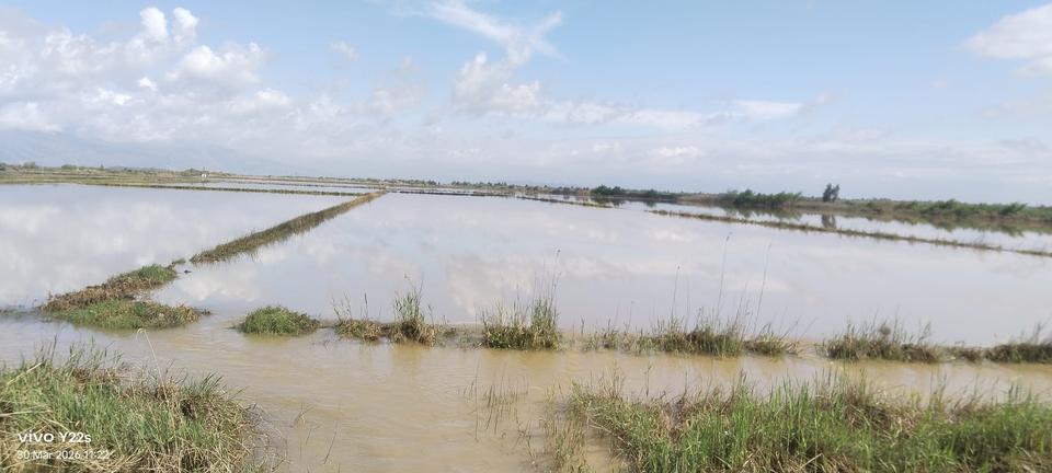 Söke Ovası’nda taşkın kabusu geri mi geliyor?