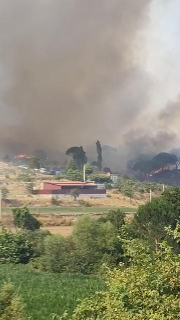 Kavaklıdere’deki yangına müdahale sürüyor