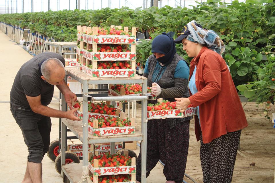 TARIMI, TEKNOLOJİYLE BİRLEŞTİRDİ YAŞITLARINA ÖRNEK OLDU