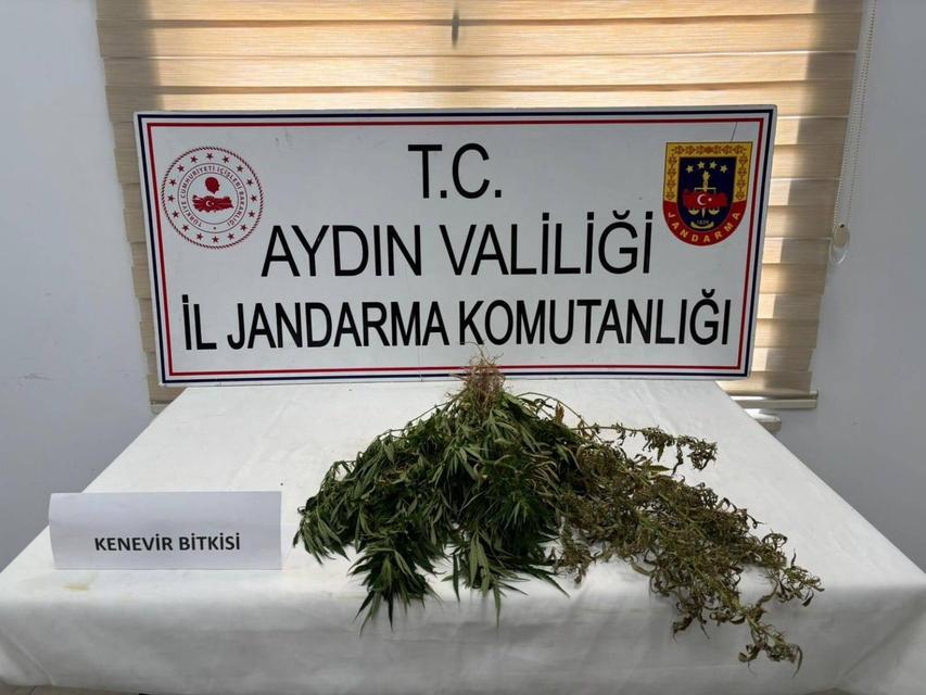 Aydın’da uyuşturucu operasyonu