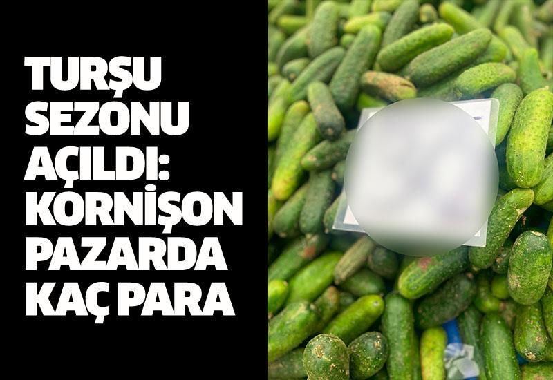 Turşu sezonu açıldı: Kornişon pazarda kaç para