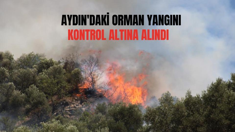 Aydın'daki orman yangını kontrol altına alındı