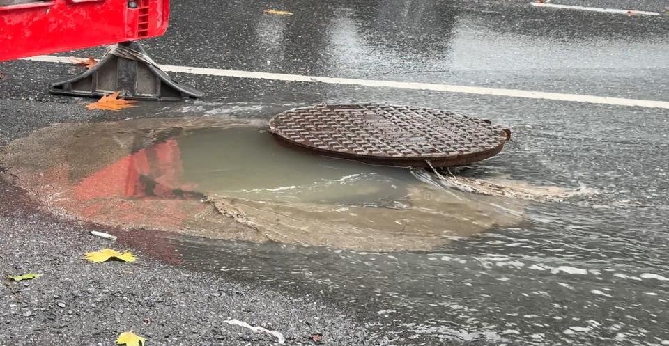 Yağış sonrası ağaçlar devrildi, rögarlar taştı