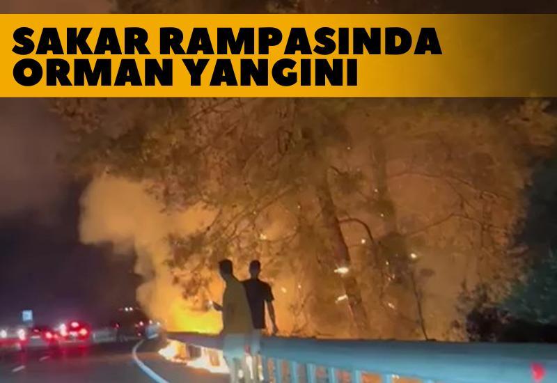 Sakar rampasında orman yangını