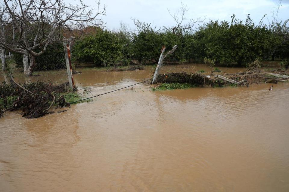 Kuşadası'nda bahçeler göle döndü, ağaçlar sular altında kaldı
