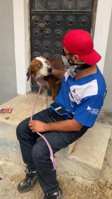 Yangından kurtarılan 'Bıdık' Emekli Hayvanlar Çiftliği'ne sığındı