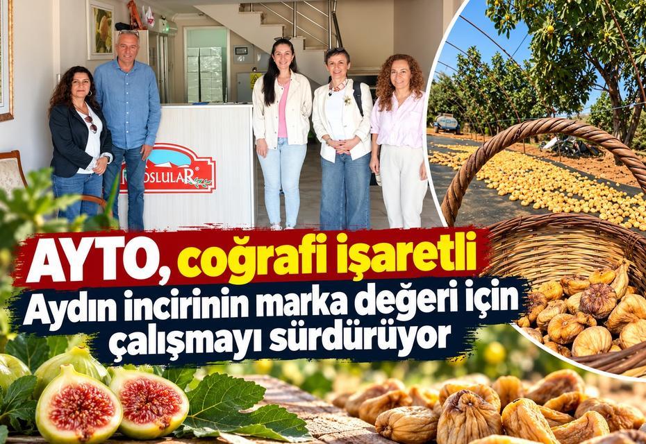 AYTO, coğrafi işaretli Aydın incirinin marka değeri için çalışmayı sürdürüyor