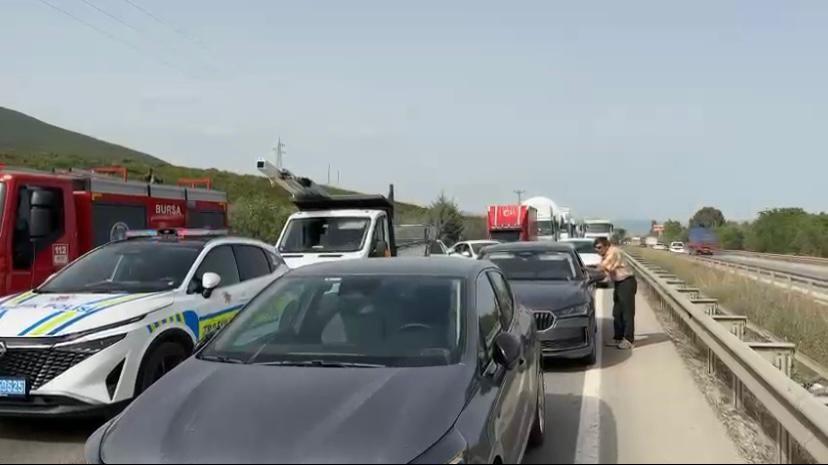Bir arı çok sayıda kişiyi mağdur etti