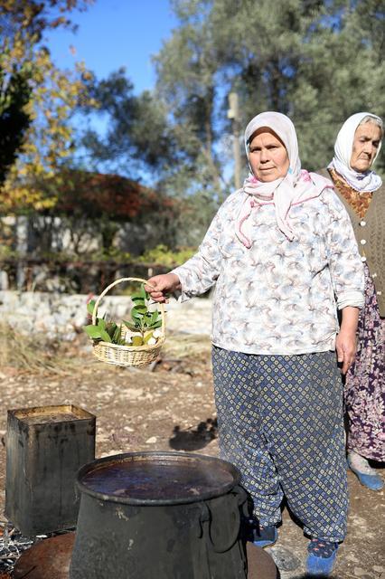 Dağlardan toplanan defne meyveleri geleneksel yöntemle yağa dönüştürülüyor