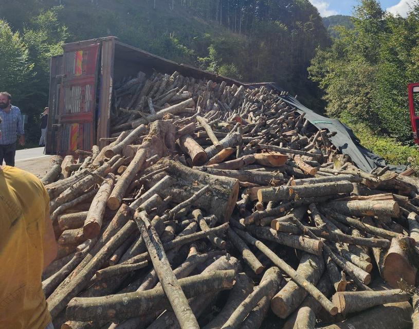 Tomruk kamyonu devrildi: 21 ton tomruk yola saçıldı