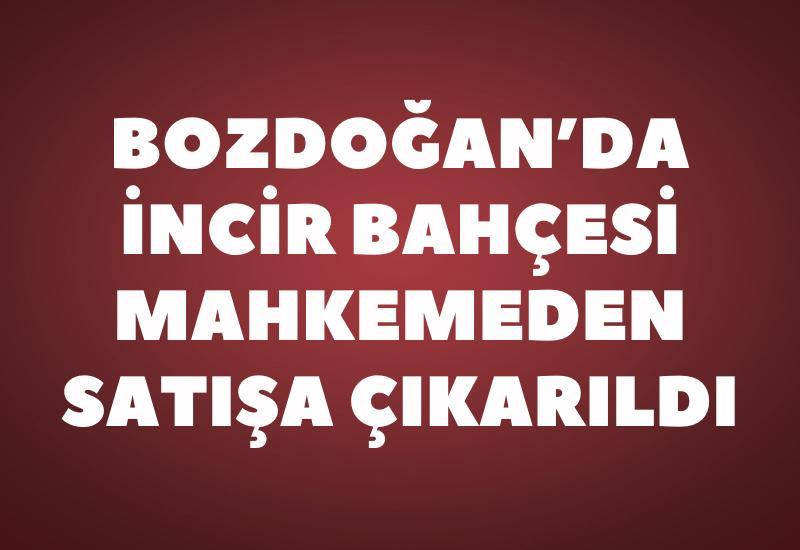 Bozdoğan’da incir bahçesi mahkemeden satışa çıkarıldı