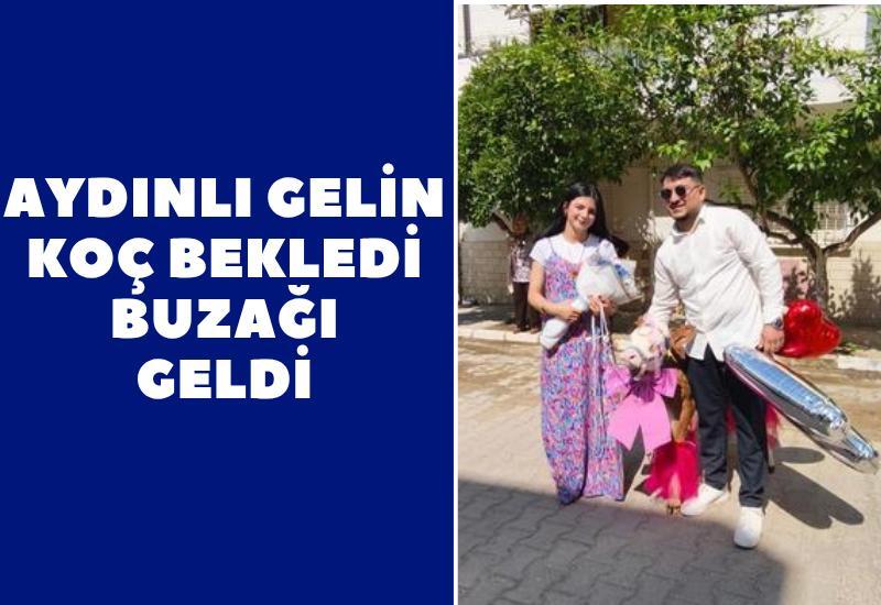 Aydınlı gelin koç bekledi, buzağı geldi