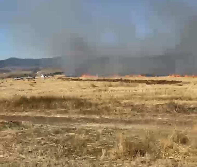 Tarım arazisinde yangın paniği