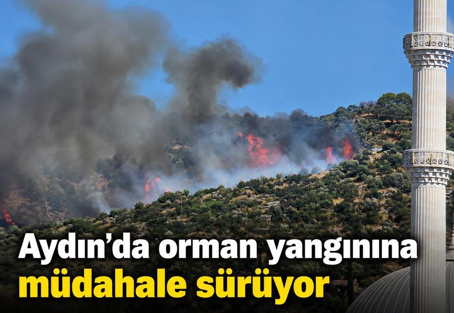 Aydın’da yine alevler yükseldi