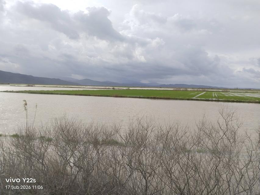 Söke Ovası 7 yıl aranın ardından yine taşkınla  tanıştı