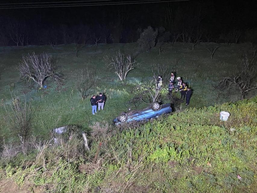 Aydın'da domuza çarpan otomobil uçuruma yuvarlandı