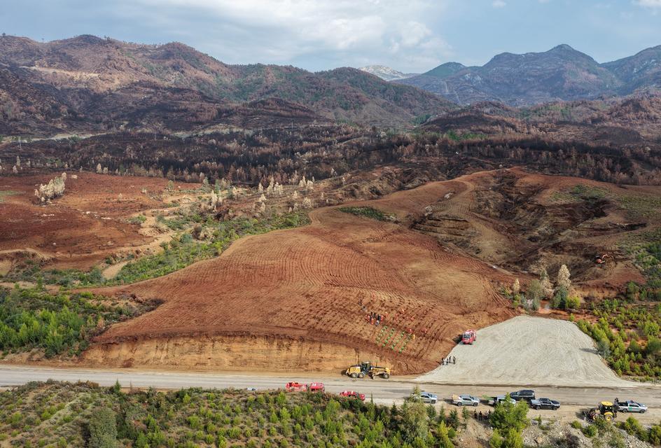Aydın ve  Muğlada Ormanlarımız Yeniden Yeşerecek