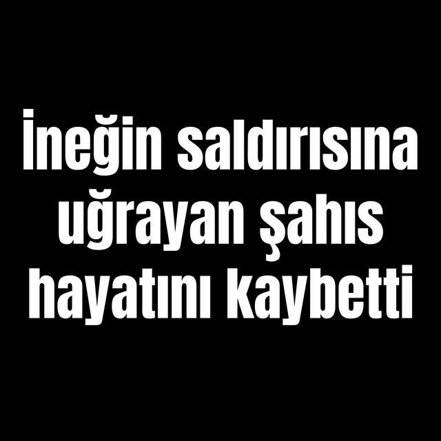 İneğin saldırısına uğrayan şahıs hayatını kaybetti
