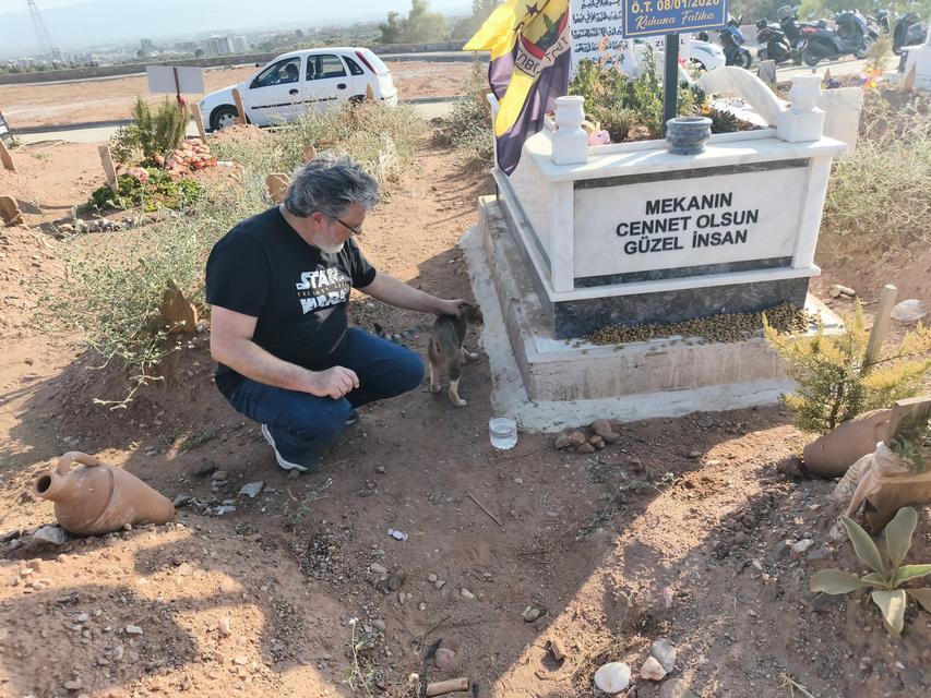NANKÖR DEĞİL, ÇOK VEFALI ÇIKTI AYDIN'DA BİR KEDİ AYLARDIR ÖLEN SAHİBİNİN MEZARININ BAŞINDAN AYRILMIYOR