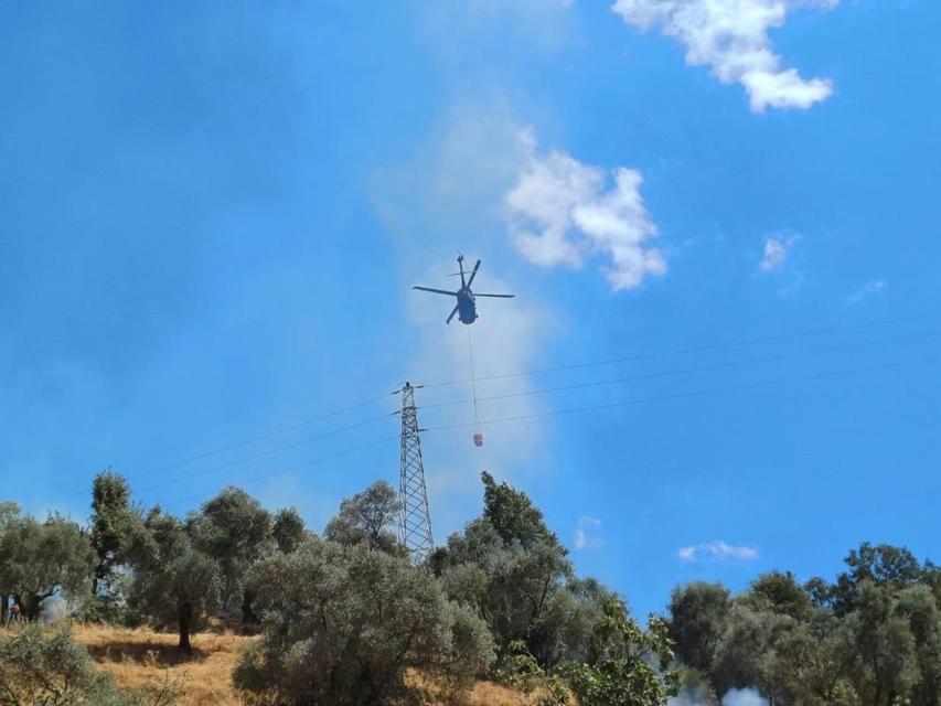 Aydın'daki zirai alan yangını kontrol altına alındı