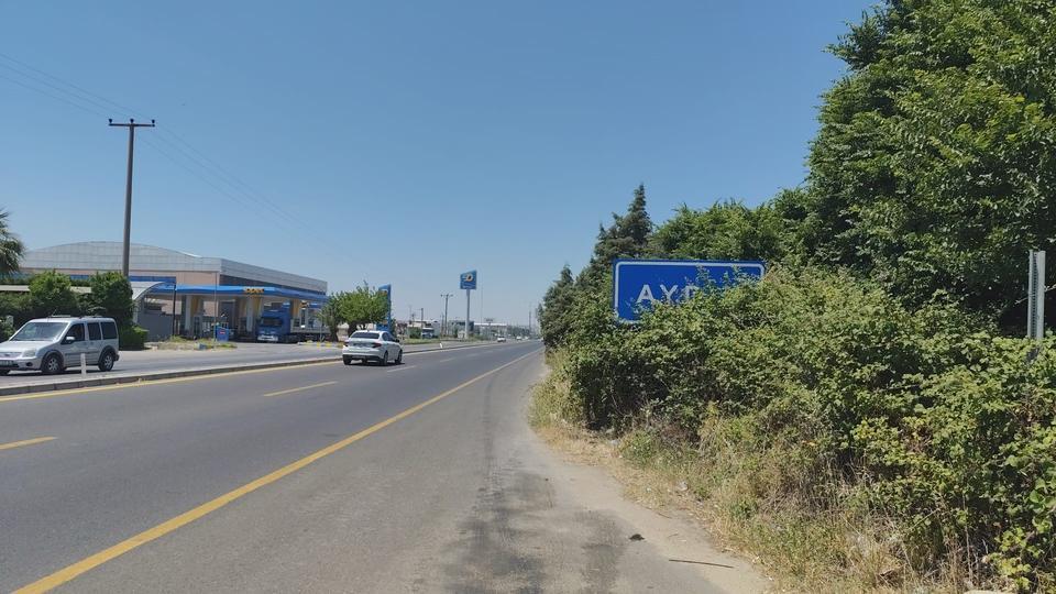 Aydın'ı çalılar yuttu