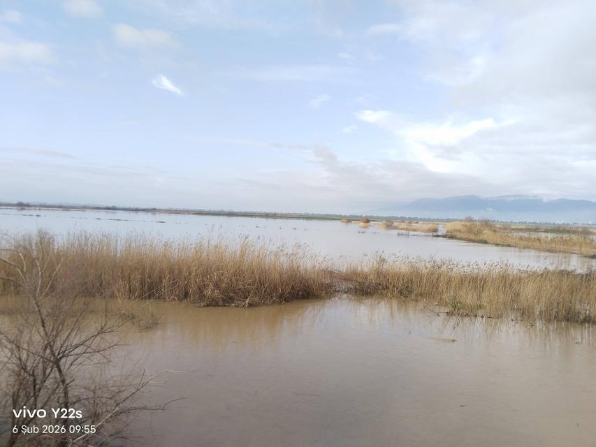 Söke güne Sarıçay taşkını ile uyandı