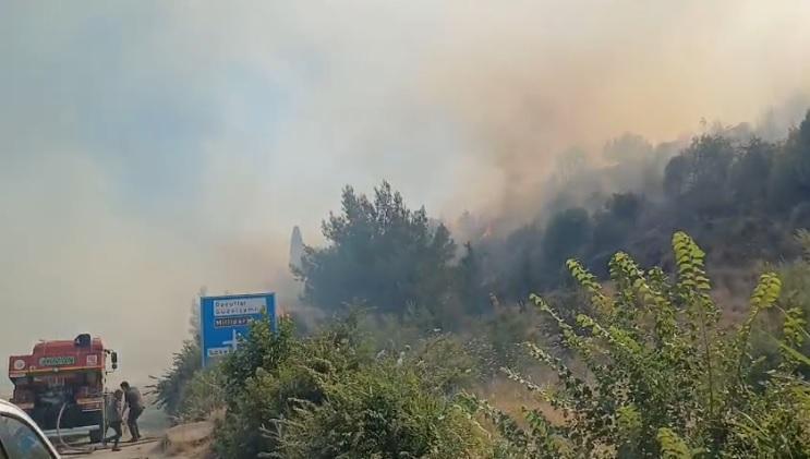 Aydın’da yine yangın kabusu: 2 ilçede daha peş peşe yangın