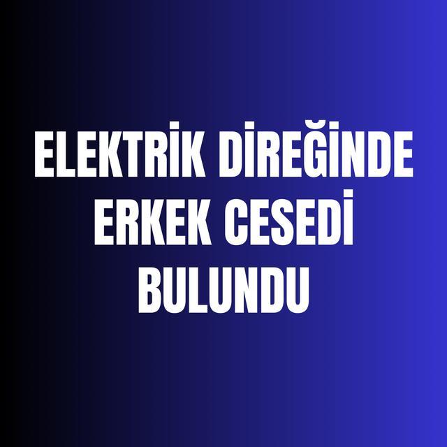 Elektrik direğinde erkek cesedi bulundu