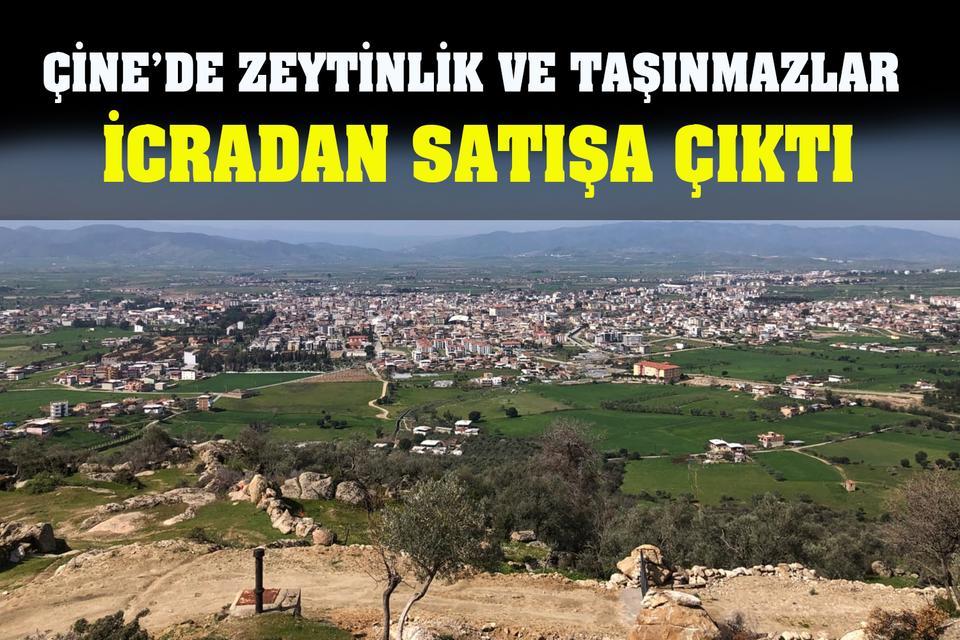 Çine’de zeytinlik ve taşınmazlar icradan satışa çıktı