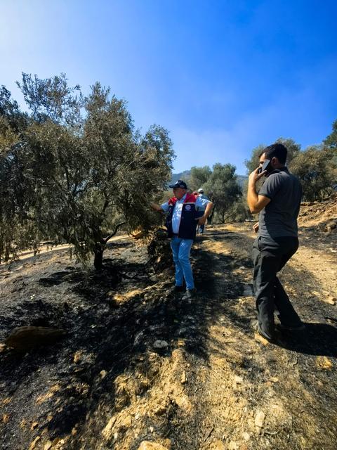 BOZDOĞAN'DA HASAR TESPİT ÇALIŞMALARI BAŞLADI