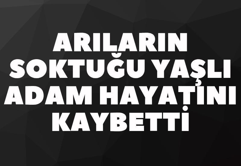 Arıların soktuğu yaşlı adam hayatını kaybetti