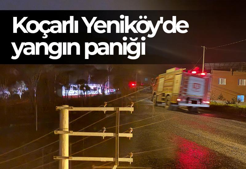 Koçarlı Yeniköy'de yangın paniği
