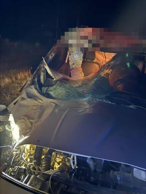 Hafif ticari araç ata çarptı: 2 yaralı