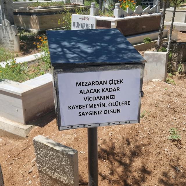 Mezarlıktaki çiçekleri çaldılar