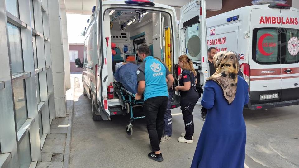 İncir toplarken ağaçtan düştü! Hastaneye kaldırıldı