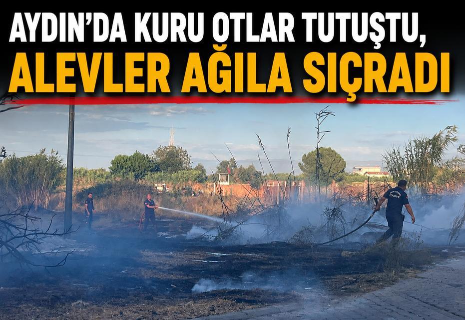 Aydın'da kuru otlar tutuştu, alevler ağıla sıçradı