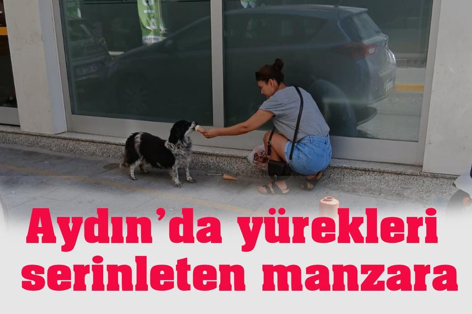 Aydın’da yürekleri serinleten manzara