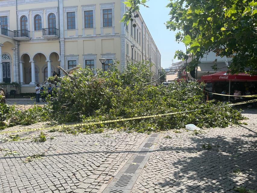 TARİHİ KEMERALTI ÇARŞISI GİRİŞİNDEKİ DEV ÇINAR DEVRİLDİ