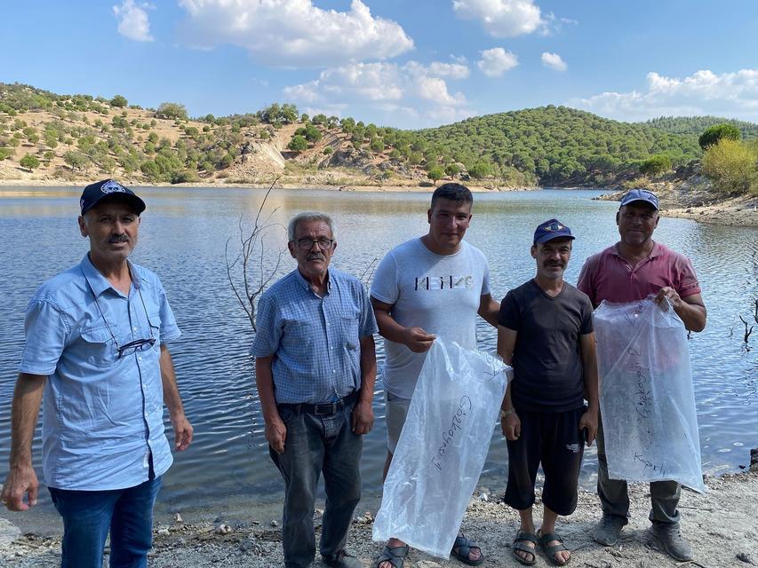 GÖZKAYASI GÖLETİ'NE SAZAN YAVRULARI BIRAKILDI