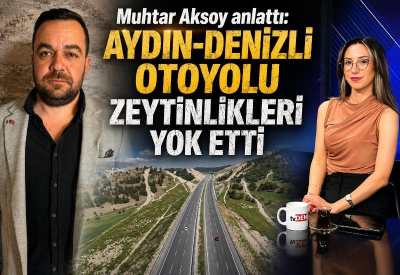 Muhtar Aksoy anlattı: Aydın-Denizli Otoyolu zeytinlikleri yok etti