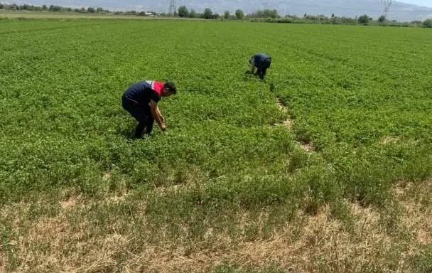 Aydın’da kuraklıkla mücadele çalışmaları sürüyor