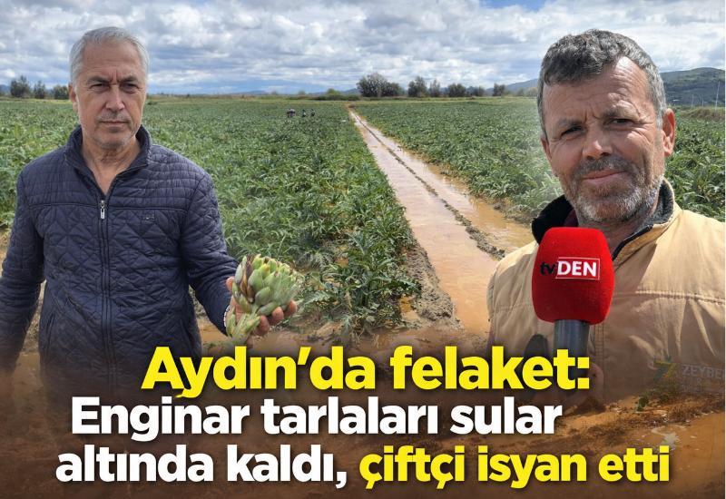 Aydın'da felaket: Enginar tarlaları sular altında kaldı, çiftçi isyan etti